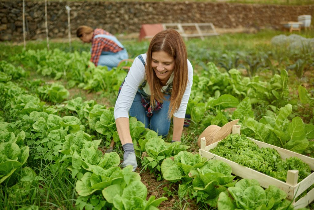 Ganadería y Agricultura Ecológica