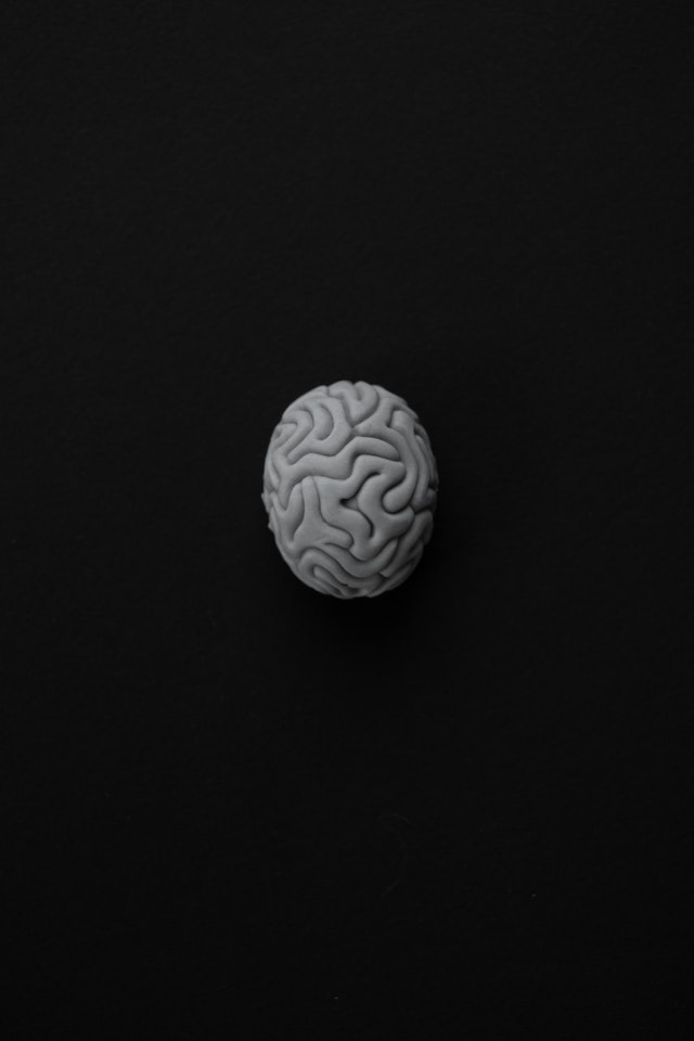 Máster en Neurología Funcional