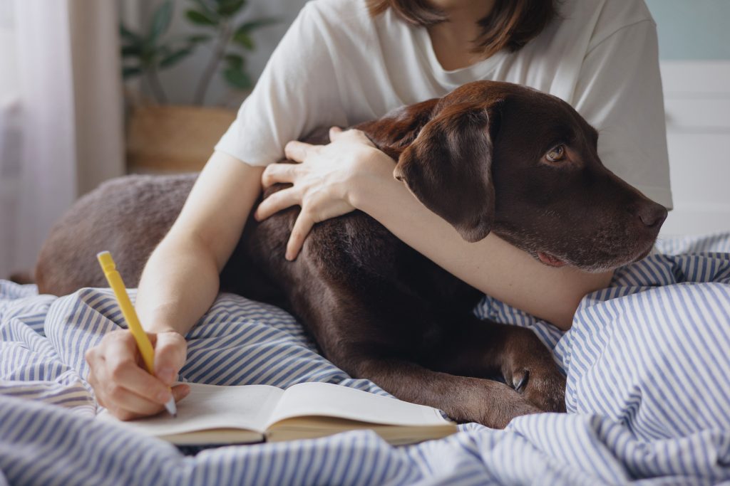 Entrenamientos específicos de los perros de intervención