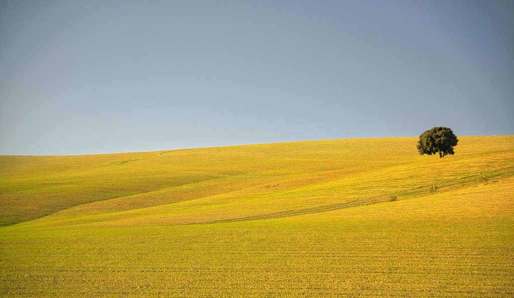 agricultura sostenible