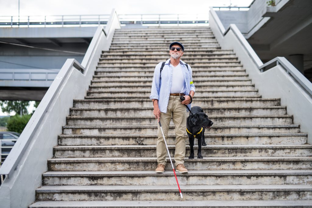 perro guia con hombre ciego