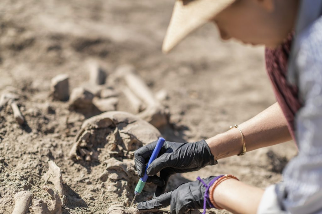 Anthropology. Anthropologist holding ancient human bones recovered from burial site.