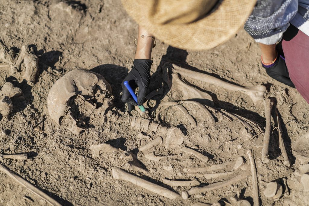 Archaeological Excavations of an Ancient Human Skeleton