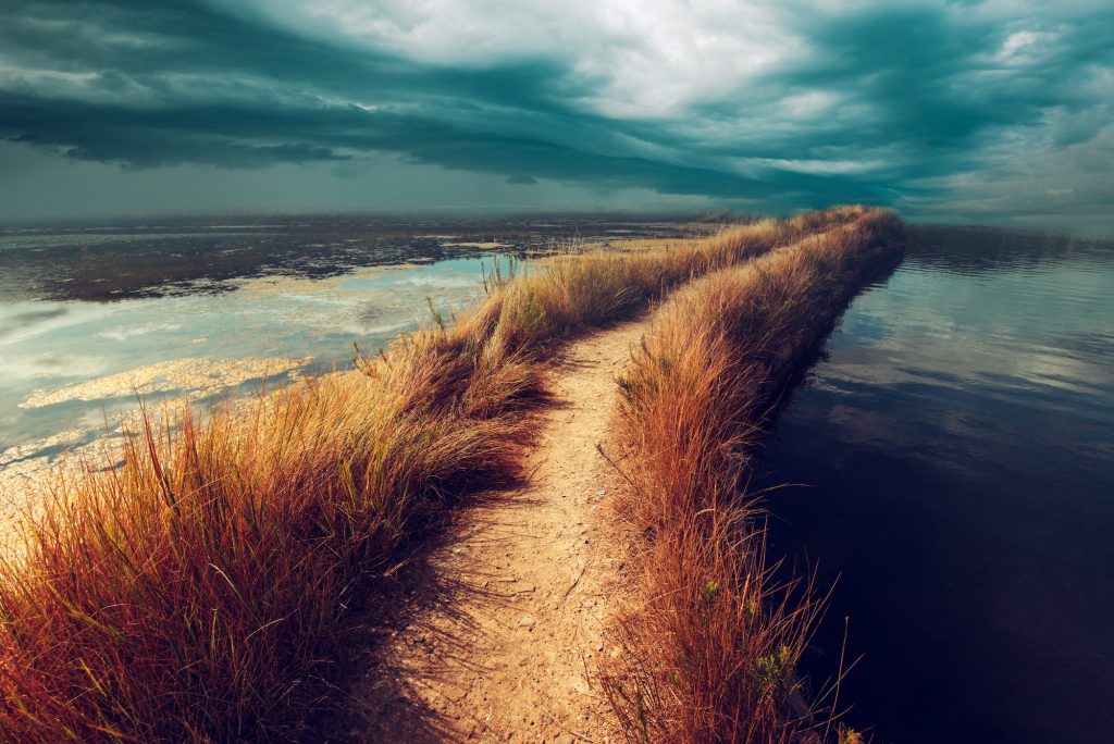 Uncertainty, doubt and insecurity in the future